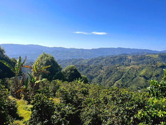 UN VIAJE QUE NOS LLEVA HASTA DONDE ESTÉS